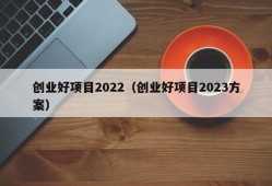 创业好项目2022（创业好项目2023方案）